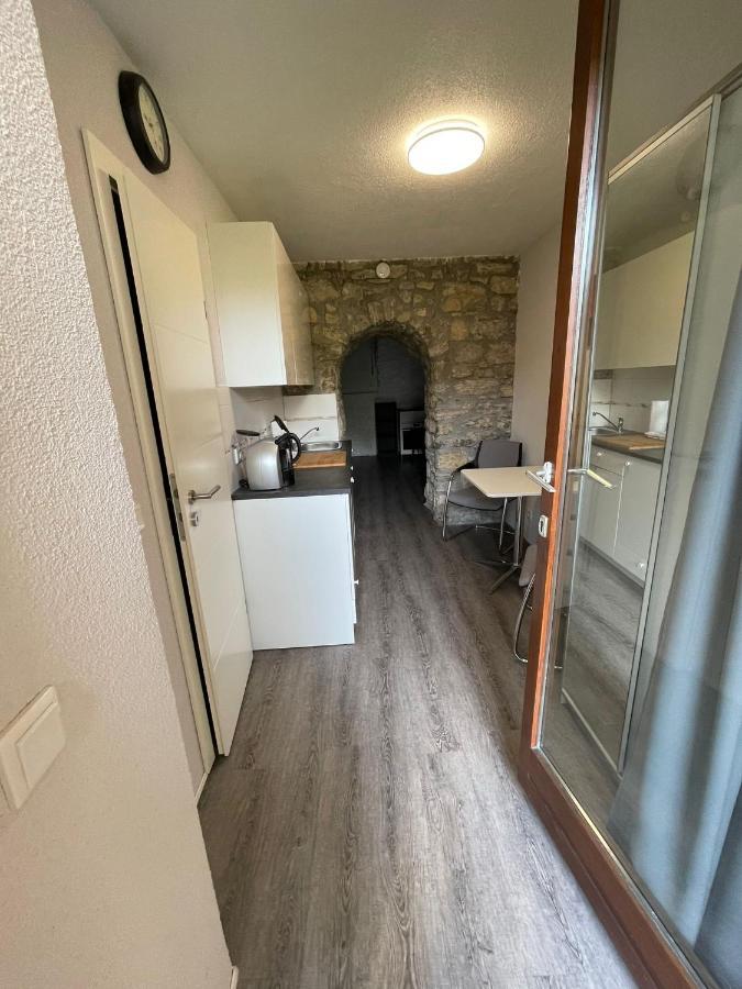 City Apartment Bad Saeckingen Mit Parkplatz Eksteriør billede